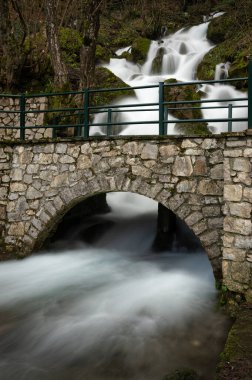 Makedonya 'nın Pefkofito kasabası yakınlarındaki Gramos Dağı' ndaki Kephalovriso şelalesinin manzarası