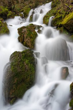 Makedonya 'nın Pefkofito kasabası yakınlarındaki Gramos Dağı' ndaki Kephalovriso şelalesinin manzarası