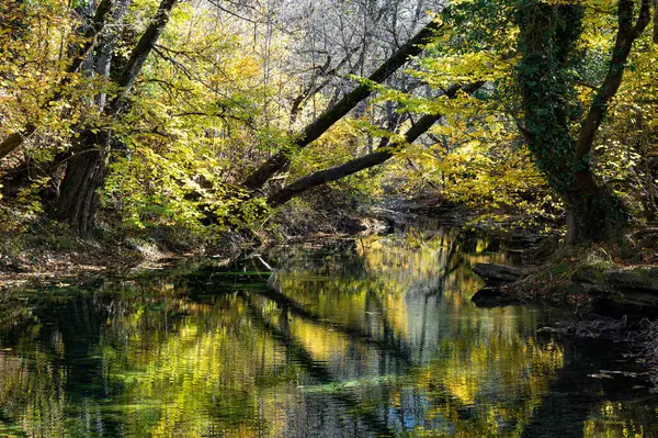 Небольшой Ручей Возле Деревни Кипи Районе Загори Эпире Греция Стоковое Изображение