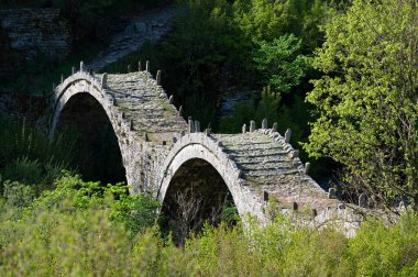Yunan Epirus 'un Zagori köyü Kipoi yakınlarındaki geleneksel Kalogeriko veya Plakida köprüsünün manzarası