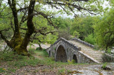 Yunanistan 'ın Sprin kentindeki Epirus kentindeki geleneksel Greci Taş Köprüsü manzarası