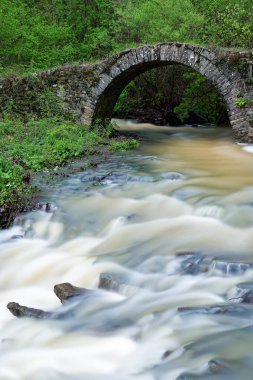 Yunanistan 'ın Sprin kentindeki Epirus kentindeki geleneksel Geromnios taş köprüsünün manzarası