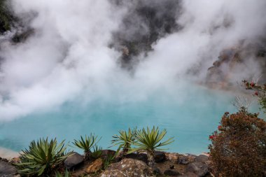 Umi Jigoku mavi su kaplıcası. Sekiz kaplıcadan biri Japonya 'nın Beppu, Oita kentindeki turnuva alanında dönüm noktasıdır..