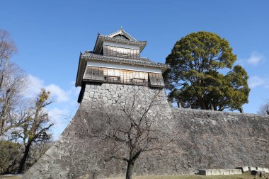 Kuzey Kyushu, Japonya 'daki ünlü Kumamoto Kalesi manzarası.