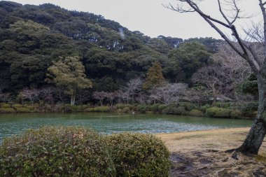 Umi Jigoku mavi su kaplıcası. Sekiz kaplıcadan biri Japonya 'nın Beppu, Oita kentindeki turnuva alanında dönüm noktasıdır..