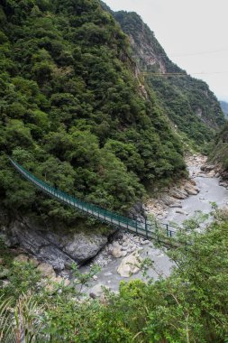 Hualien, Tayvan 'daki Taroko Ulusal Parkı' ndaki doğa manzarası.