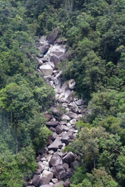 Banahill teleferiğinden önceki ağaç dağı manzarası