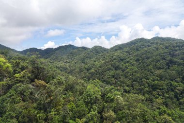 Banahill teleferiğinden önceki ağaç dağı manzarası
