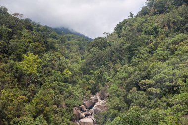 Banahill teleferiğinden önceki ağaç dağı manzarası