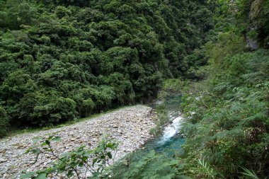 Hualien, Tayvan 'daki Taroko Ulusal Parkı' ndaki doğa manzarası.