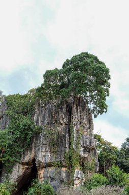 Tayland 'ın Loei eyaletindeki güzel dağ turistlerinin manzarası