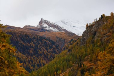 Sonbahar manzaralı dağ manzarası. Doğa ve çevre iç içe, İsviçre