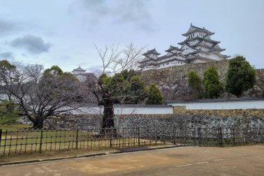 Manzara manzarası Japonya 'da beyaz şato ünlü ve güzeldir.