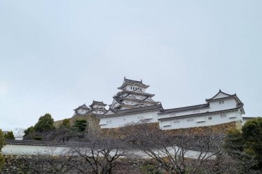 Manzara manzarası Japonya 'da beyaz şato ünlü ve güzeldir.
