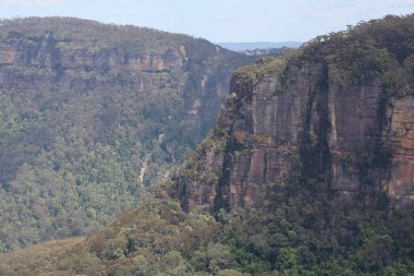 Avustralya 'daki Blue Mountain' daki milli parkın manzarası