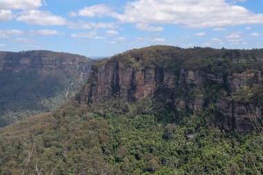 Avustralya 'daki Blue Mountain' daki milli parkın manzarası