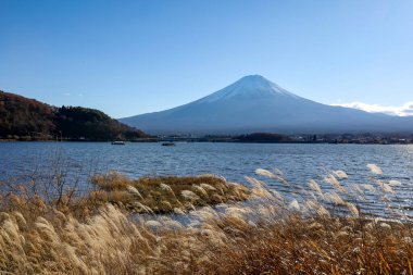 Kışın Kawaguchi Gölü 'nde Fuji Dağı manzarası