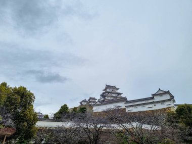 Manzara manzarası Japonya 'da beyaz şato ünlü ve güzeldir.