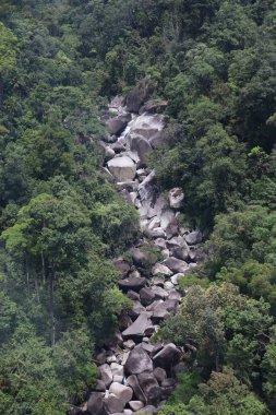 Banahill teleferiğinden önceki ağaç dağı manzarası