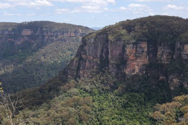 Avustralya 'daki Blue Mountain' daki milli parkın manzarası