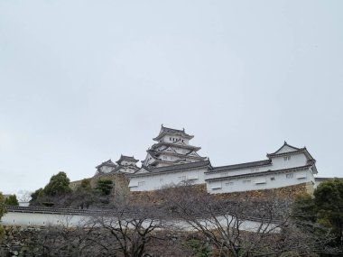 Manzara manzarası Japonya 'da beyaz şato ünlü ve güzeldir.