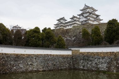 Manzara manzarası Japonya 'da beyaz şato ünlü ve güzeldir.