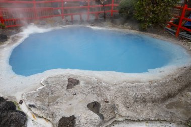 Beppu, Japonya 'da Chinoike-Jigoku sıcak suyu.