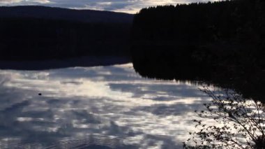 Kunduzlar suyun altında yüzerler ve güzel bulutlarla uyanırlar.