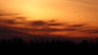 Gün batımında koyu turuncu bulutlar ve siyah ağaç tepeleri