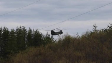 Çift kanatlı helikopter ağaçların arkasında kayboluyor.