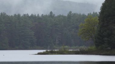 Couchain Gölü, sisli ve yağmurlu bir günde gölde sisli bir sabah.