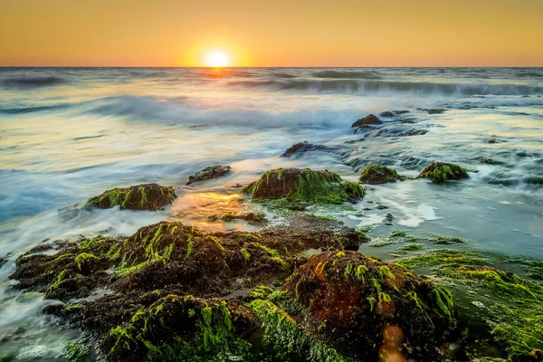 Sziklák Zöld Hínárral Lenyugvó Nap Misztikus Hullámok Fényében Hosszú Expusure — Stock Fotó