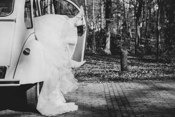 在拍摄过程中 一对新婚夫妇在公园里进行婚礼报道的幽默细节 — 图库照片