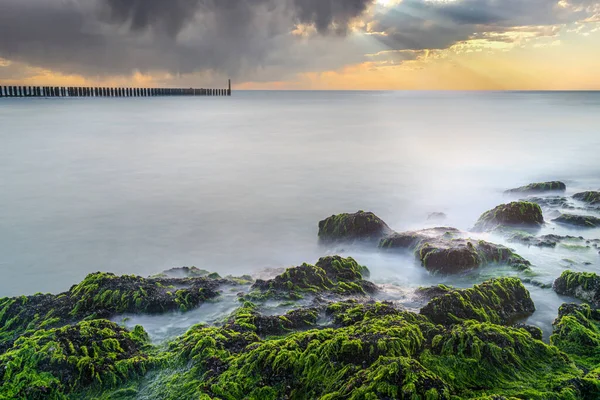 Rocks Green Seaweed Light Setting Sun Mystical Waves Long Expusure — Stock Photo, Image