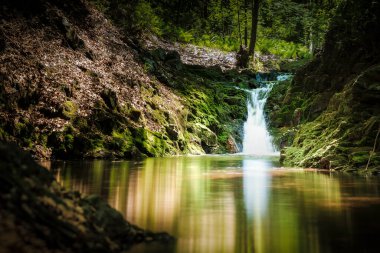 Valle De La Hoegne nehri, Belçika, Ardennes 'deki güzel şelale manzarası.