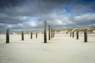 Petten the Hollanda 'da manzara sanatı palendorp