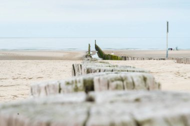 Domburg sahilindeki ahşap yığının detaylı fotoğrafı. Groyne 'un ahşapta harika yapıları ve dokusu var..