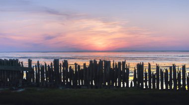 Wadden Denizi 'nin güzel çamurlu uçakları UNESCO' da gün batımı manzarası. Hollanda 'daki Dünya Mirası Bölgesi