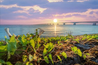 Zeeland Köprüsü, Hollanda 'nın en uzun köprüsü olup, iki ada arasındaki nehir üzerinde bir delta görevi görmektedir.