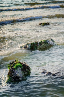 Hollanda kıyısı boyunca dalgalı sahil manzarası.