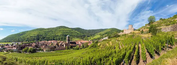 Kaysersberg Fransa 'sında üzüm bağlarının arkaplanına karşı kale