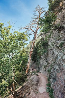 Bisse du Torrent Neuf asma köprüleri İsviçre Alplerinde