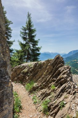 Bisse du Torrent Neuf asma köprüleri İsviçre Alplerinde