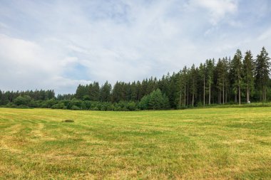 Almanya 'nın güneybatısında güzel bir manzara