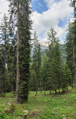 İtalya Alplerindeki Peyzaj Sineması Delle Odle