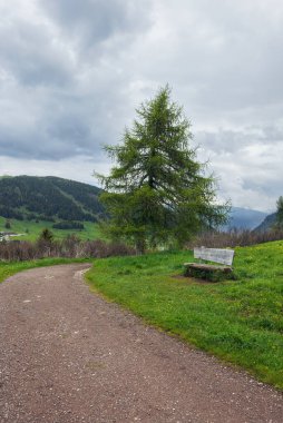 Güzel Alpe di Siusi Dolomitler İtalya 'sında