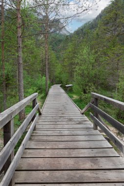 İtalyan Alpleri 'ndeki Lago di Dobbiaco' nun etrafındaki patika.