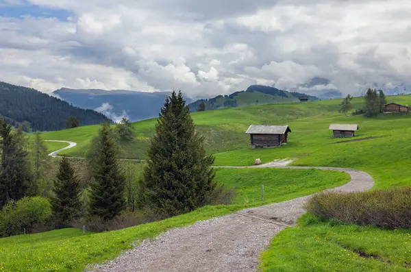 Güzel Alpe di Siusi Dolomitler İtalya 'sında