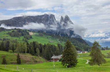 Güzel Alpe di Siusi Dolomitler İtalya 'sında
