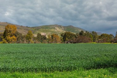 İsrail 'in Golan Tepeleri' ndeki güzel sonbahar manzarası